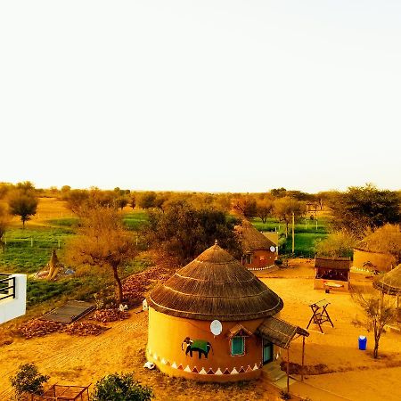 Desert Nights Mandawa Bilik gambar