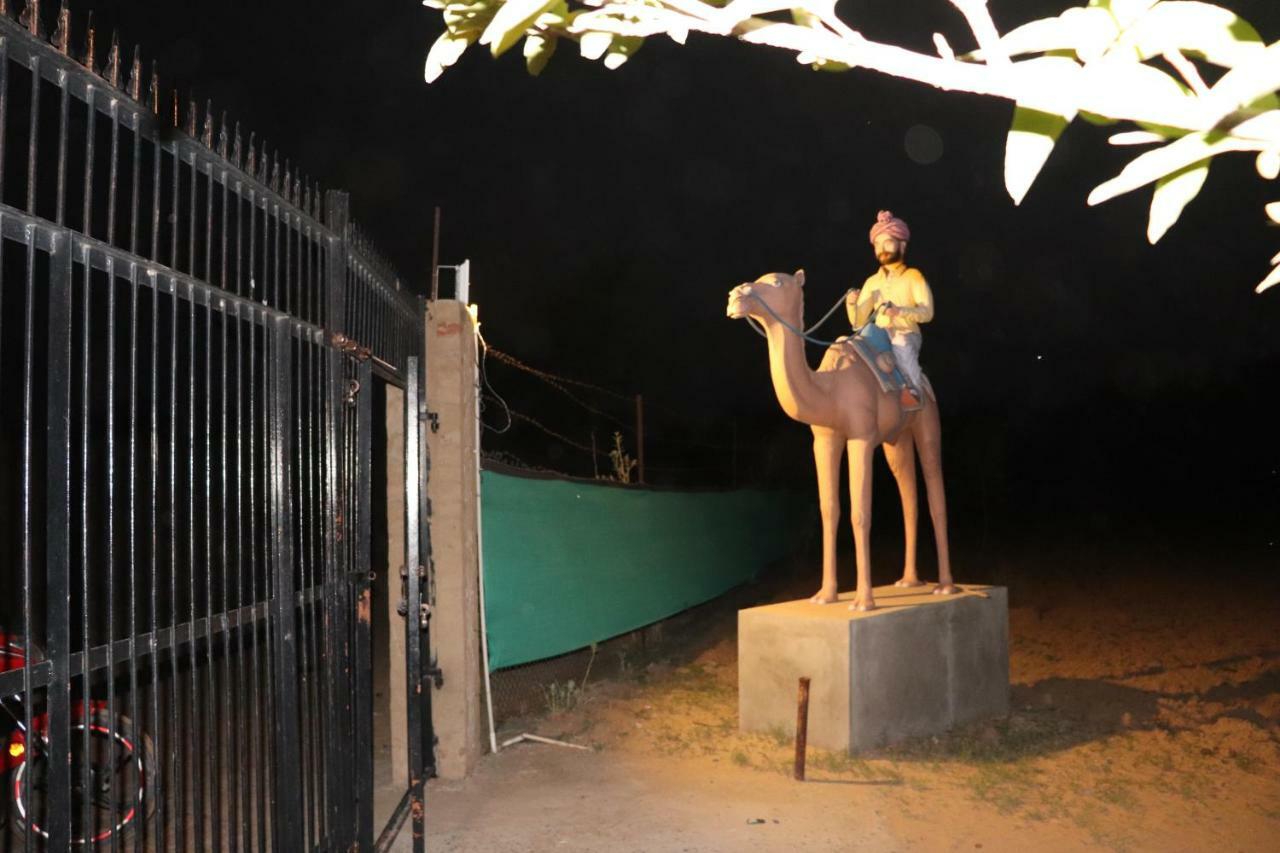 Desert Nights Mandawa Luaran gambar